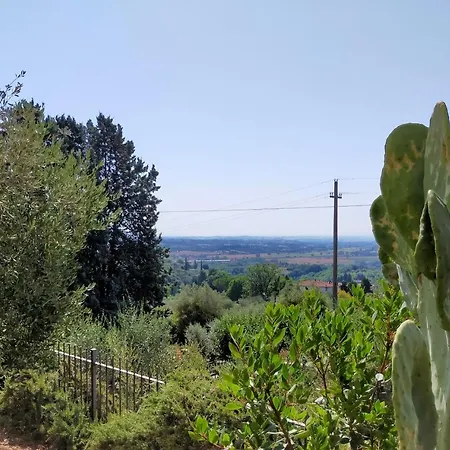 L'olivo Turistico *