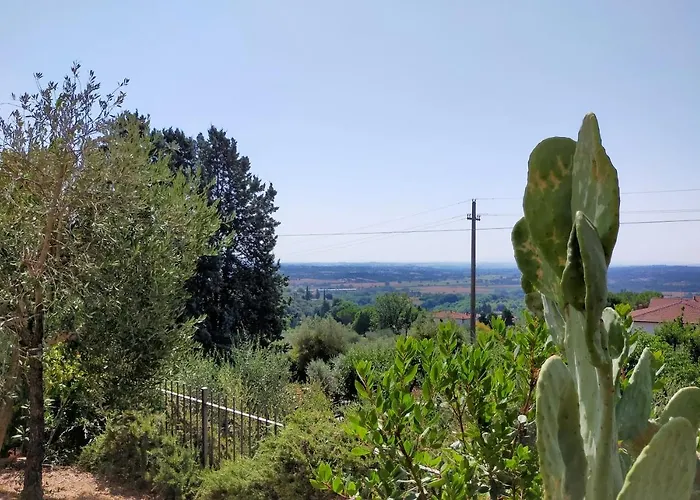L'olivo Turistico *